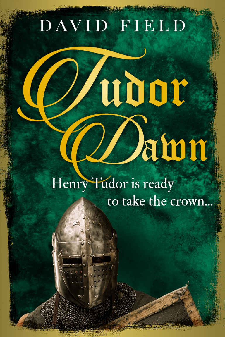 Tudor Dawn: Henry Tudor is ready to take the crown... (The Tudor Saga Series Book 1)