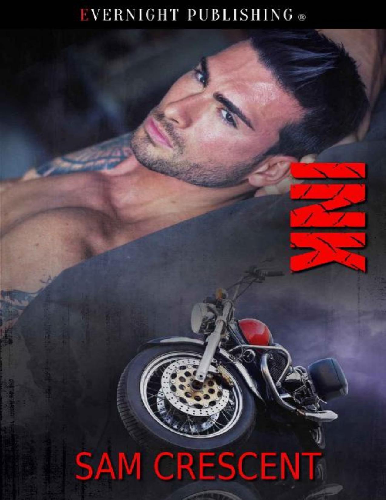 Ink (The Skulls Book 17)