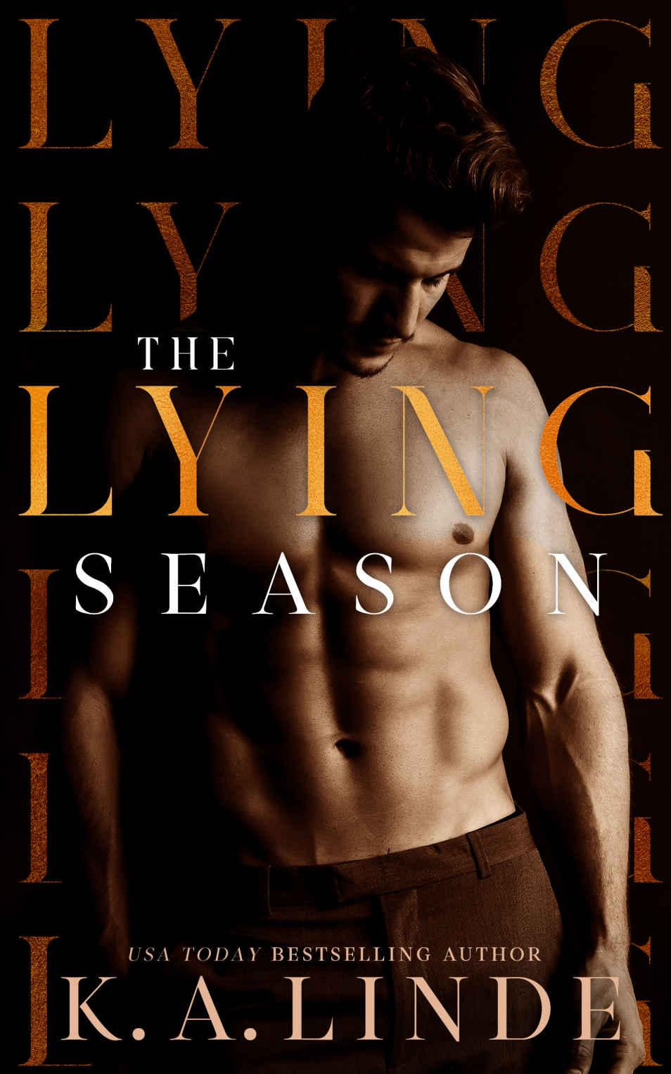 The Lying Season: A Second Chance Office Romance (Seasons Book 1)