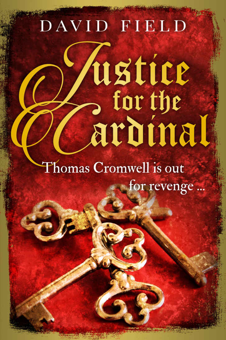 Justice For The Cardinal