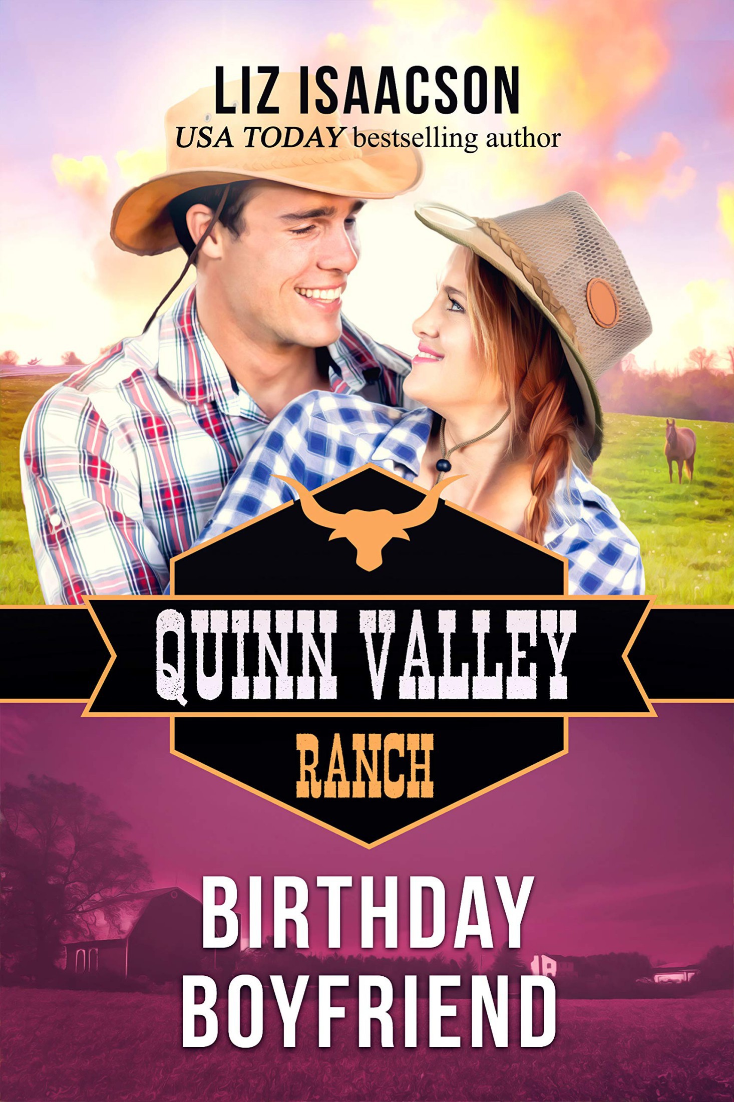 Birthday Boyfriend (Quinn Valley Ranch Book 21)