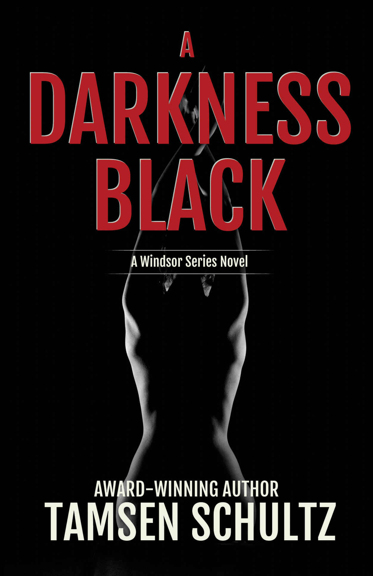 A Darkness Black (Windsor Series Book 6)