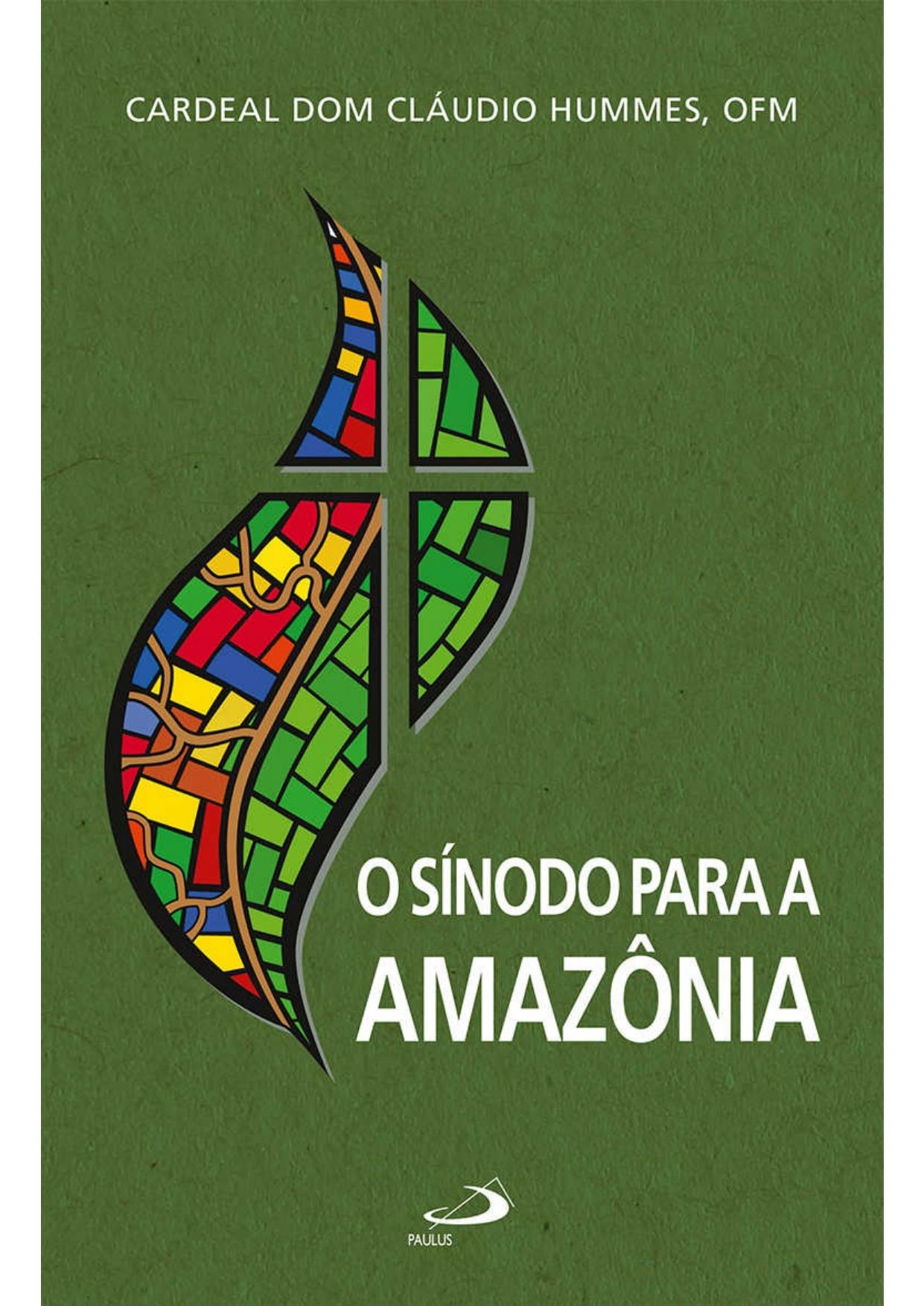 O Sínodo para a Amazônia (Comunidade e missão)