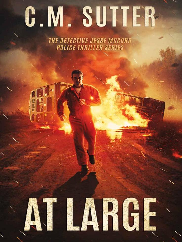 At Large: A Captivating Revenge Thriller (The Detective Jesse McCord Police Thriller Series Book 2)