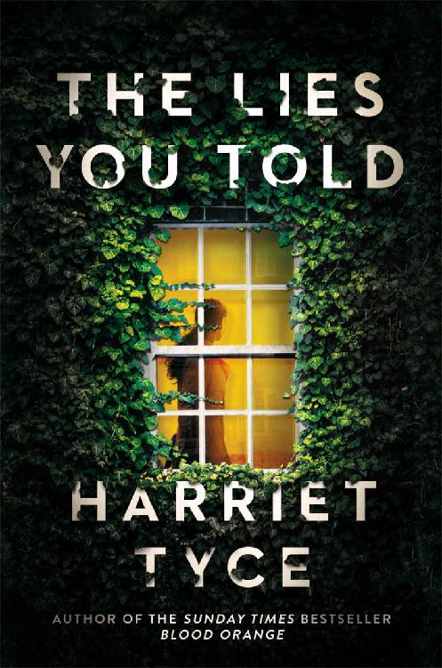 The Lies You Told: From the Sunday Times bestselling author of Blood Orange