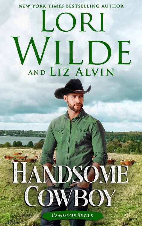 Handsome Cowboy (Handsome Devils #4)
