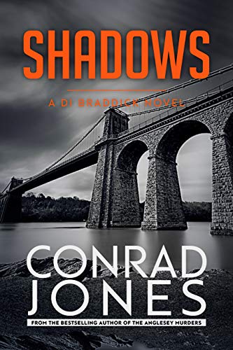 Shadows: an unputdownable thriller. Absolutely gripping (The Inspector Braddick Series Book 2)