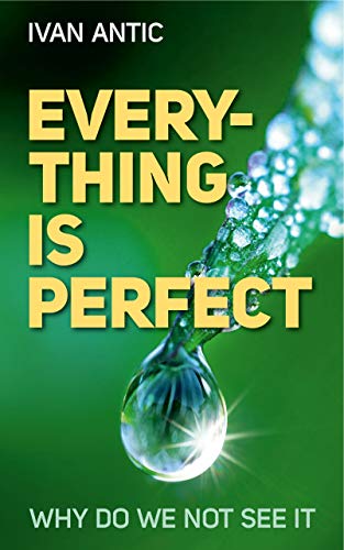 Everything Is Perfect: Why Do We Not See It (Existence - Consciousness - Bliss Book 6)