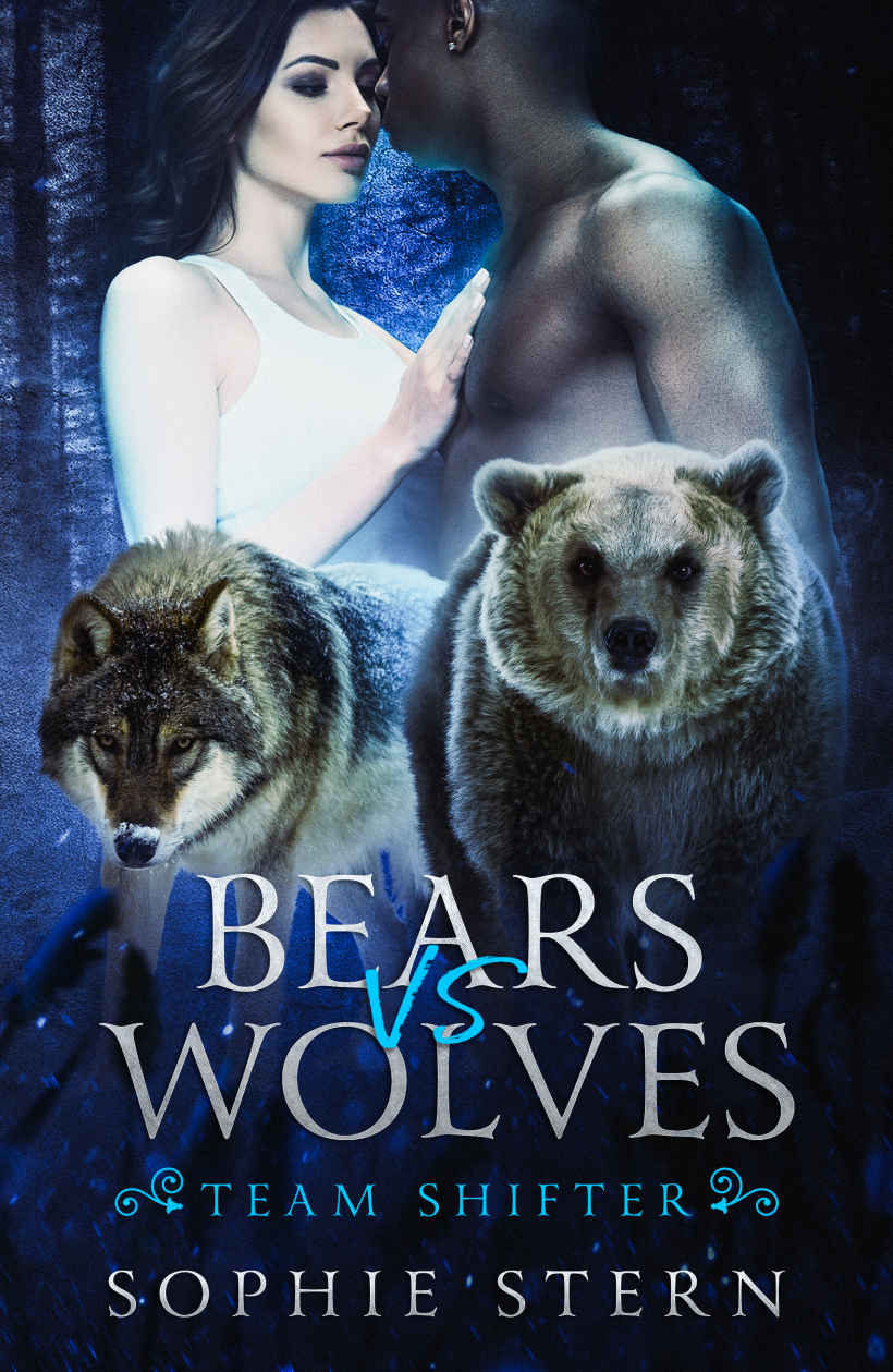 Bears VS Wolves (A Shifter Dating App Second Chance Romance) (Team Shifter Book 1)