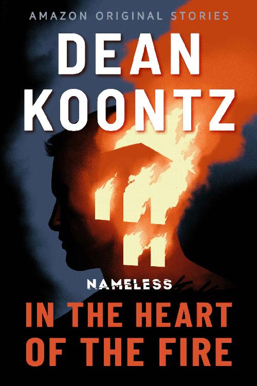 In the Heart of the Fire (Nameless: Season One Book 1)