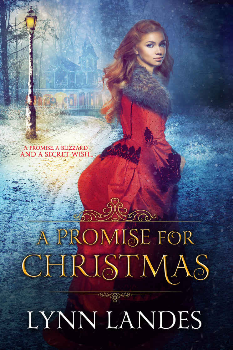 A Promise for Christmas: A Historical Holiday Romance (Holidays)