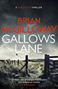 Gallows Lane: An ex con and drug violence collide in the borderlands of Ireland... (Ben Devlin Book 2)