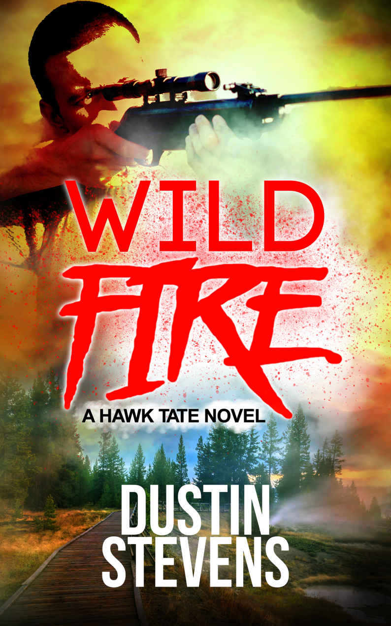 Wild Fire: A Suspense Thriller (A Hawk Tate Novel Book 6)
