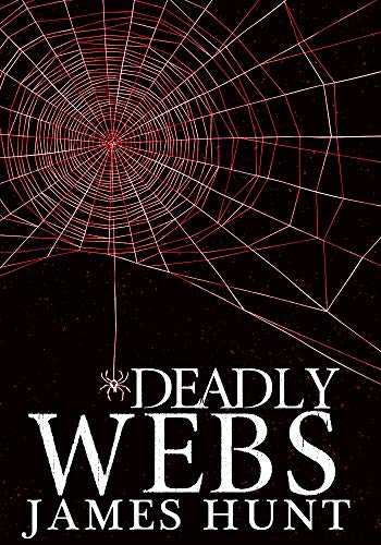 Deadly Webs (A Riveting Kidnapping Mystery Series Book 3)