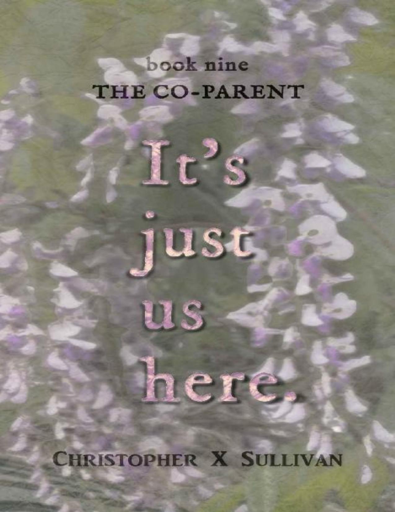 The Co-Parent (It's Just Us Here Book 9)