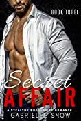 Secret Affair: A Stealthy Billionaire Romance (Secret Series Book 3)