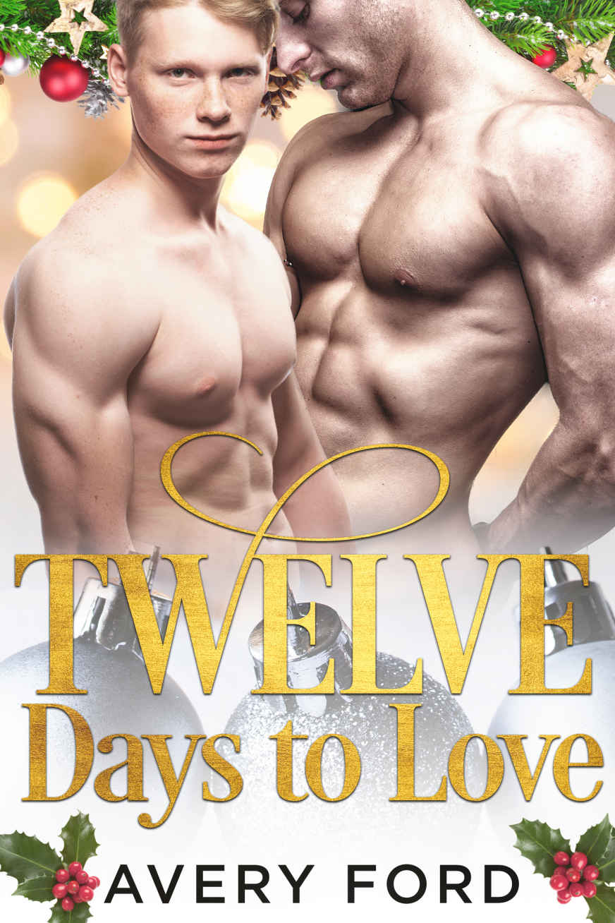 Twelve Days To Love: A Gay Christmas Romance