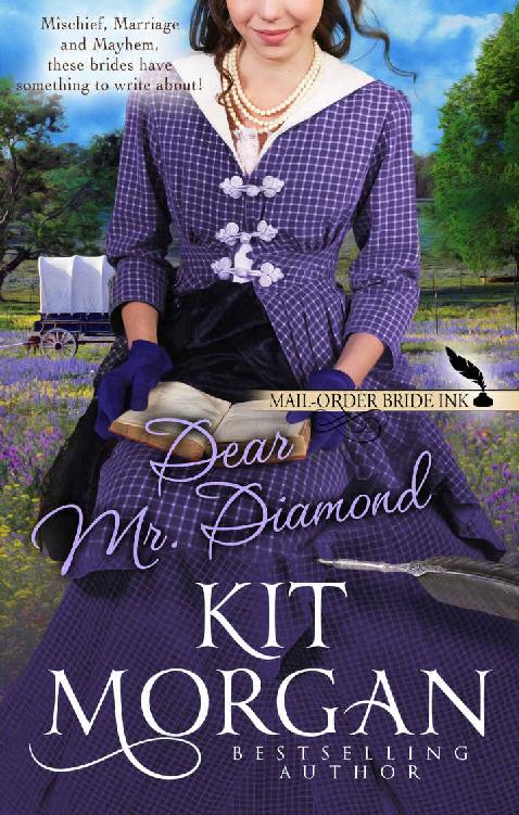 Dear Mr. Diamond (Mail Order Bide Ink #10)