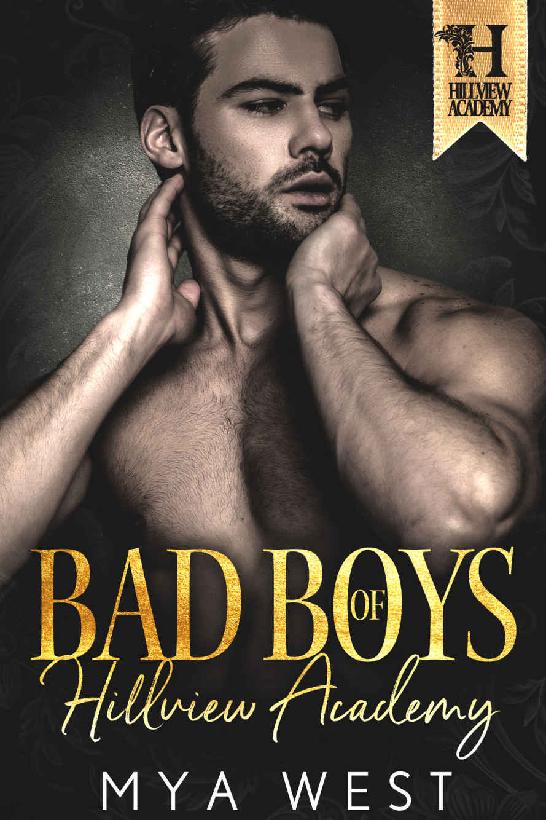 Bad Boys of Hillview Academy: The Complete Boxset (Bad Boys of Hillview Academy #1-3)