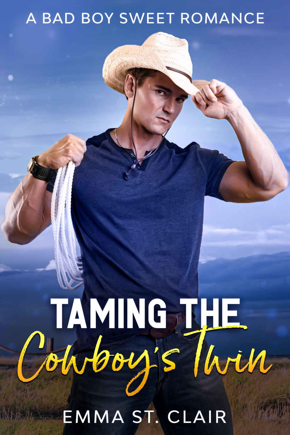 Taming the Cowboy's Twin: A Bad Boy Sweet Romance (Not So Bad Boys Book 4)