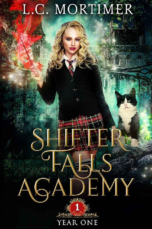 Shifter Falls Academy- Year One