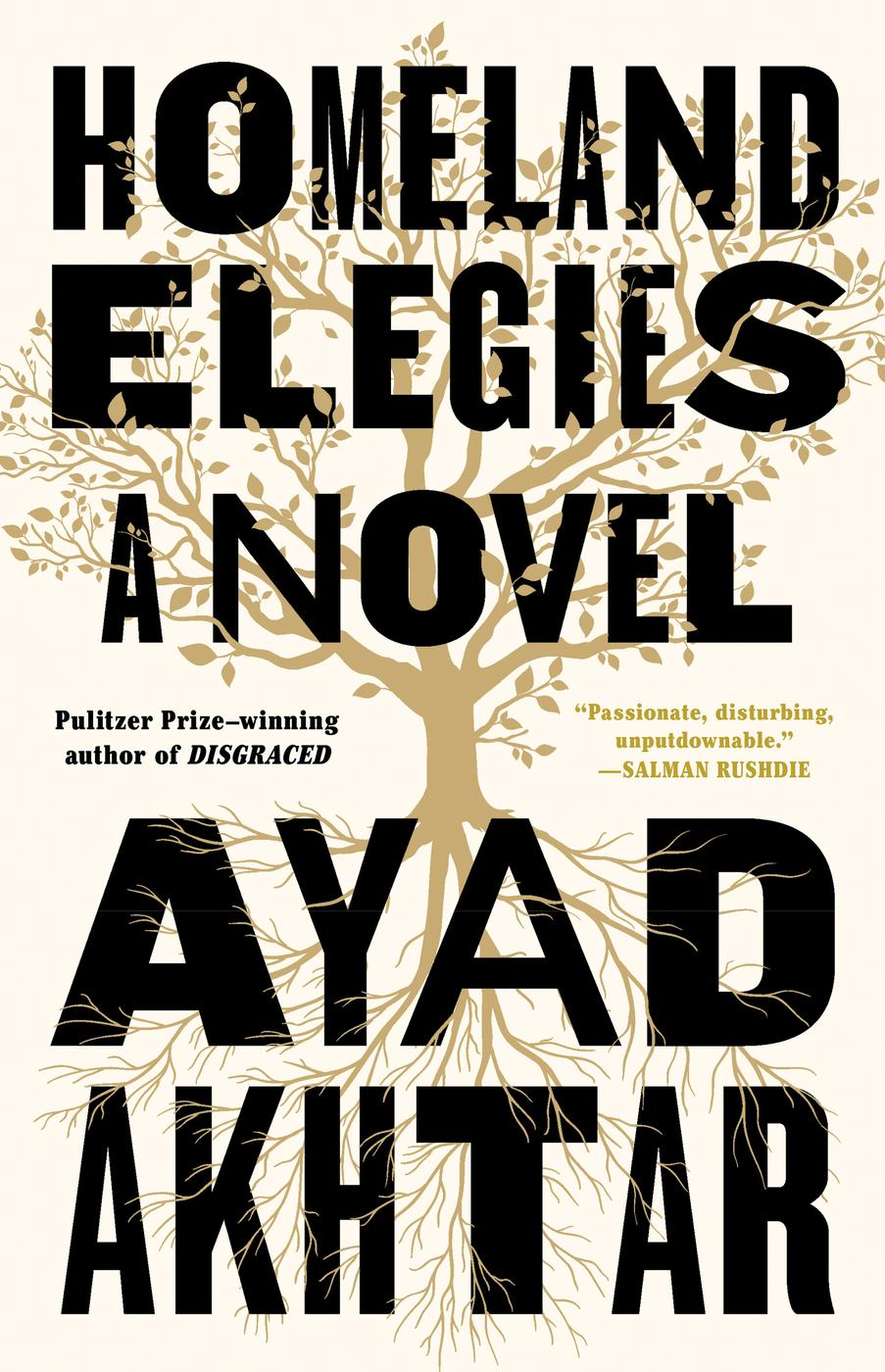 Homeland Elegies: A Novel