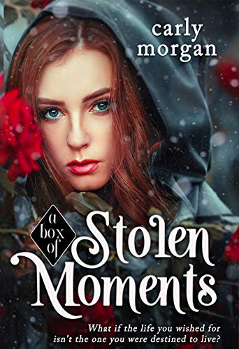 A Box of Stolen Moments (A Fae and His Human Book 1)