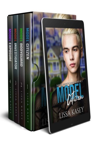 Haven Investigations Boxset Books 1-4