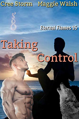 Taking Control (Eternal Flames Book 15)