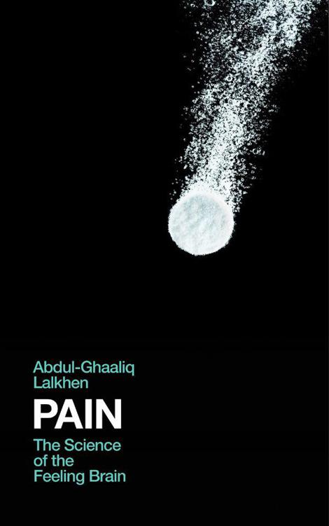 Pain: The Science of the Feeling Brain