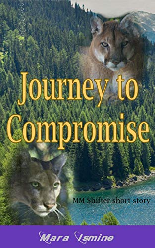 Journey to Compromise