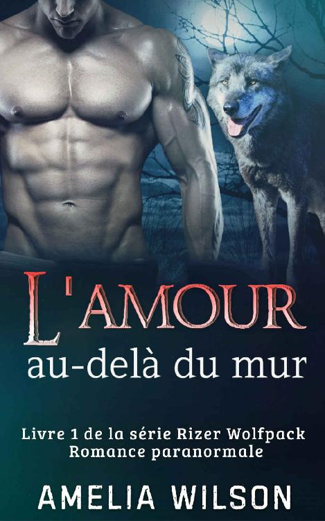 L'amour au-delà du mur