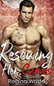 Rescuing Her Curves (Alpha Authority Book 3)