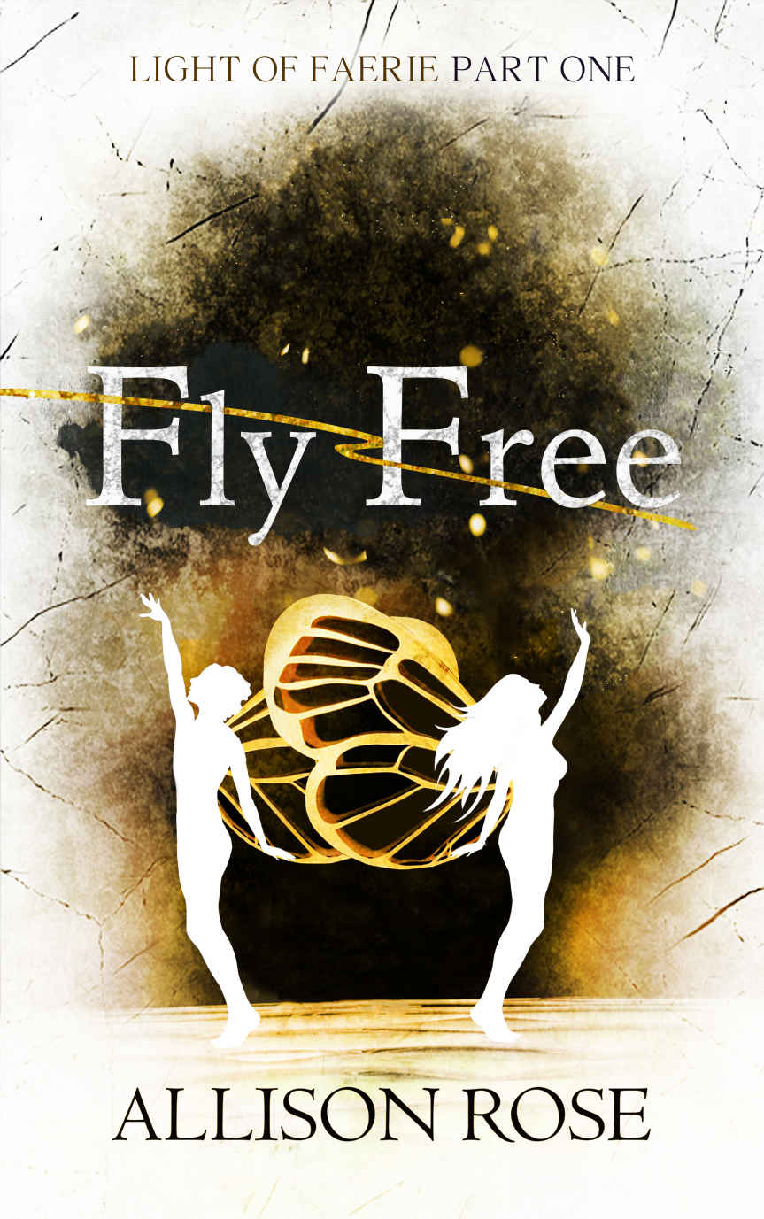 Fly Free (Light of Faerie Book 1)