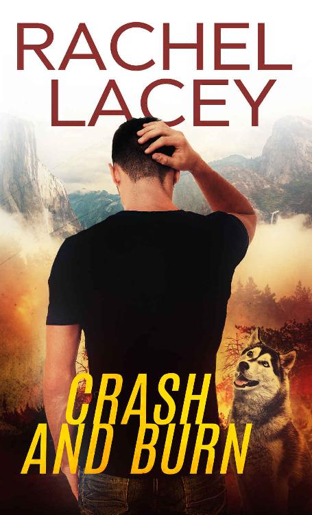 Crash and Burn (Stranded #1)