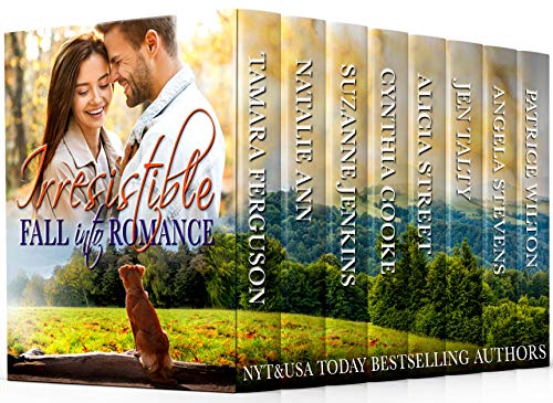 IRRESISTIBLE - FALL INTO ROMANCE (Irresistible Romance Book 5)