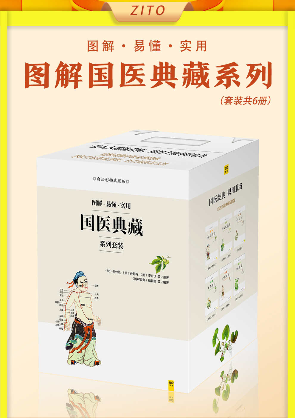 图解国医典藏系列套装(全6册)(中医传世经典 中医临床必读!1000000+读者好评推荐!权威底本白话解读,人人都能看懂。近7000条实用药方+超4000幅精美插图,轻松读懂中医必看经典,不仅告诉你有多好,还告诉你怎么用!)