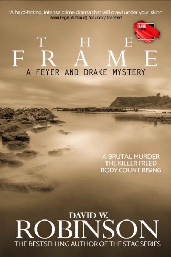 The Frame - from the author of the Sanford Third Age Club (STAC) series (A Feyer and Drake Mystery Book 2)