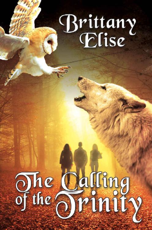 The Calling of the Trinity (Trinity Cycle Book 2)