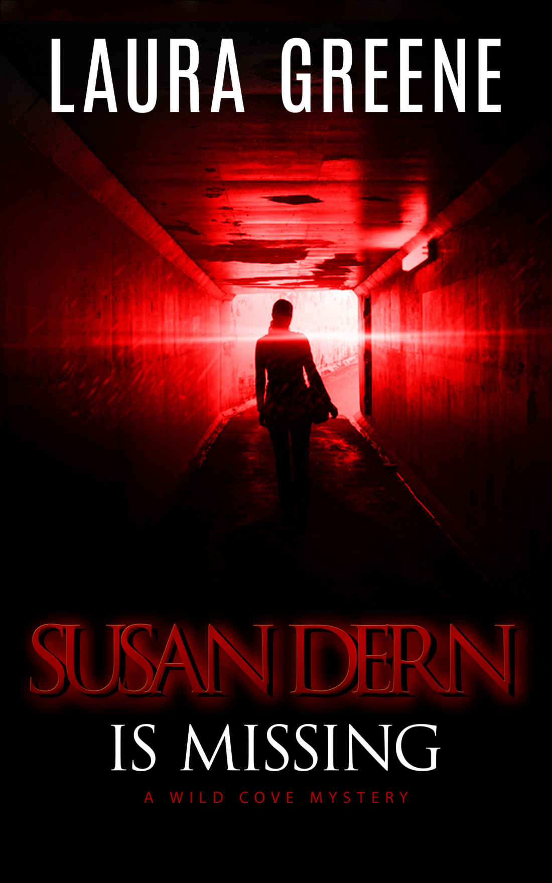 Susan Dern Is Missing (A Wild Cove Mystery Book 2)