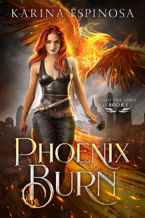 Phoenix Burn