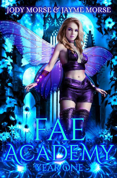 Fae Academy: Year One (Fae Academy #1)