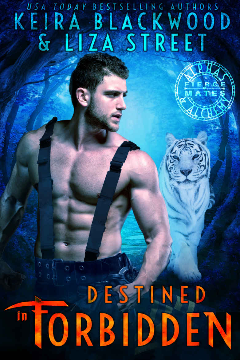 Destined in Forbidden: A Shifter Paranormal Romance (Alphas & Alchemy: Fierce Mates Book 7)