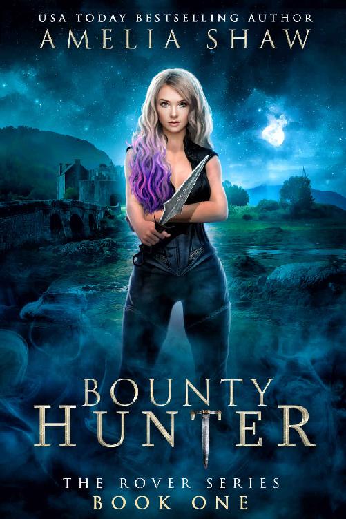 Bounty Hunter (The Rover #1)