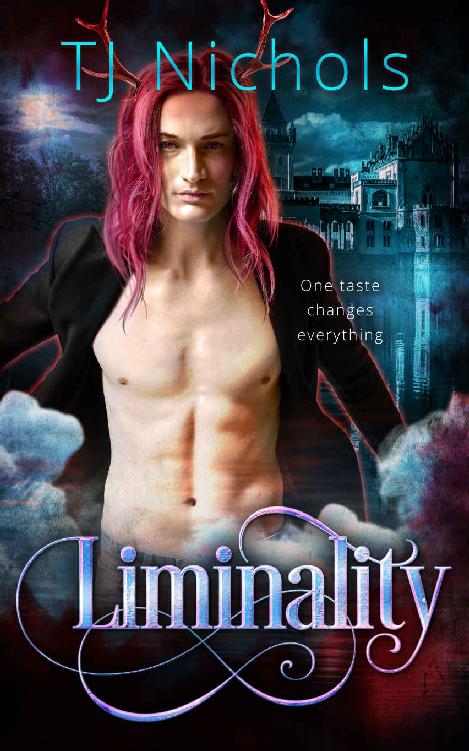 Liminality: dark gay fantasy romance