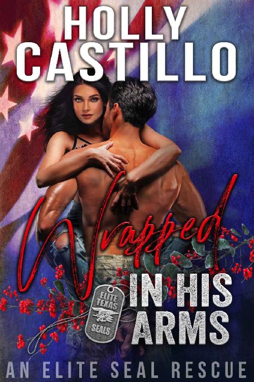 Wrapped in His Arms (Texas Elite SEALs #4)