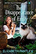 The Disappearance of Emily: Destiny Falls Mystery &amp; Magic Series Book 2