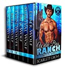 Wilde Brothers Ranch-Complete Series (Books 1-6)