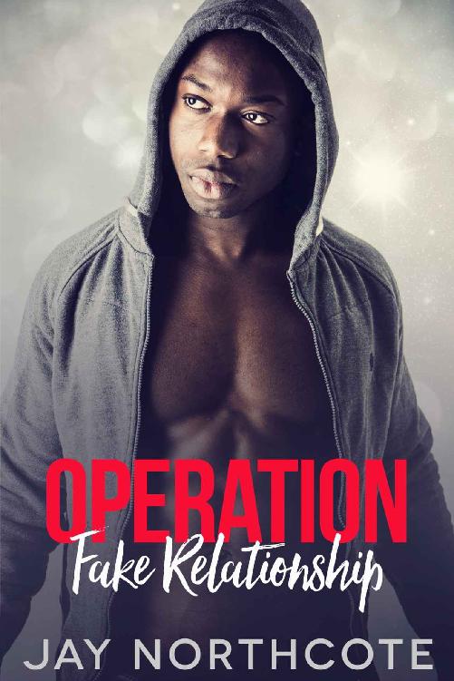 Operation Fake Relationship: An MM Christmas Romance