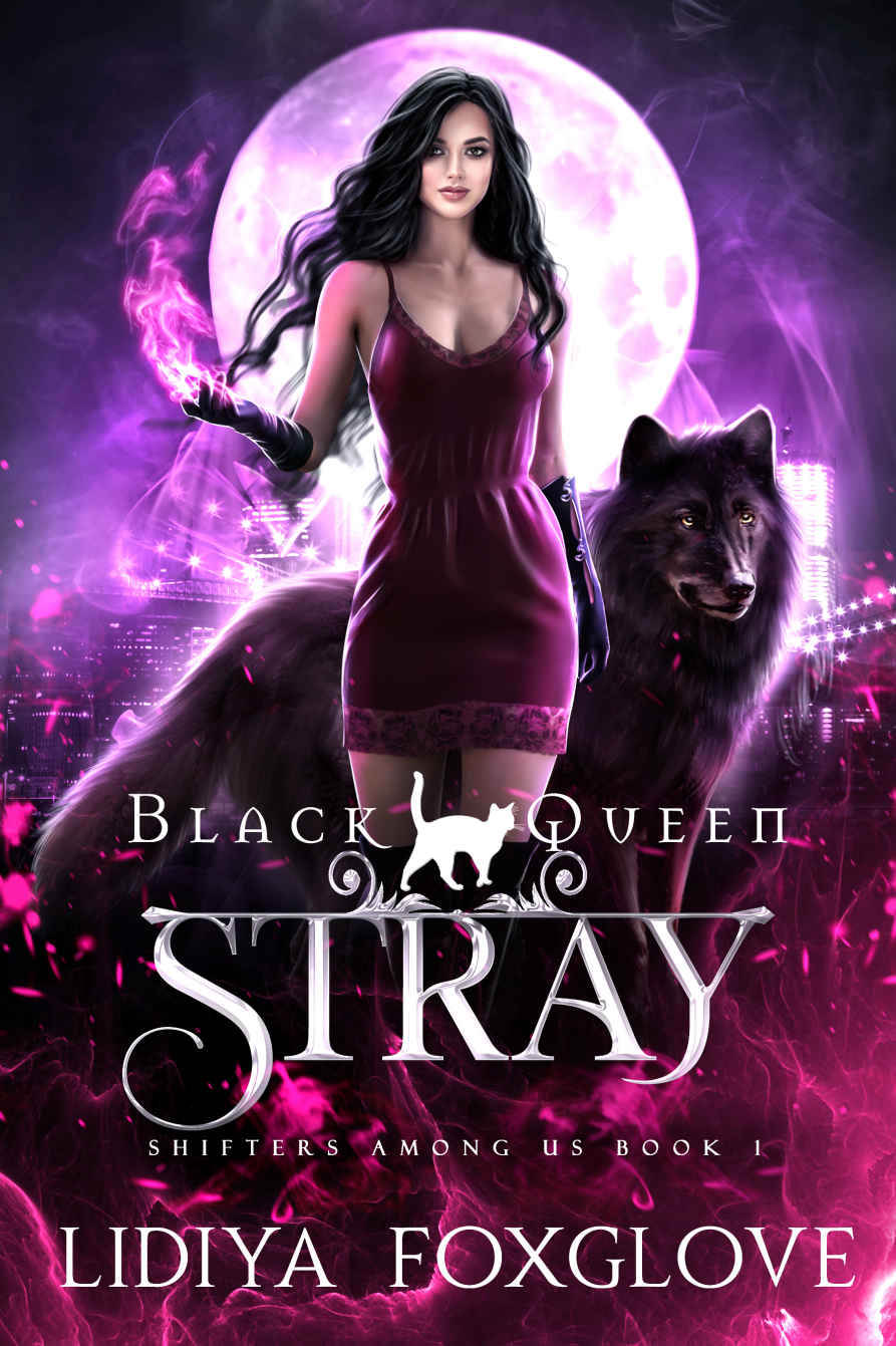 Black Queen: Stray (Shifters Among Us Book 1)